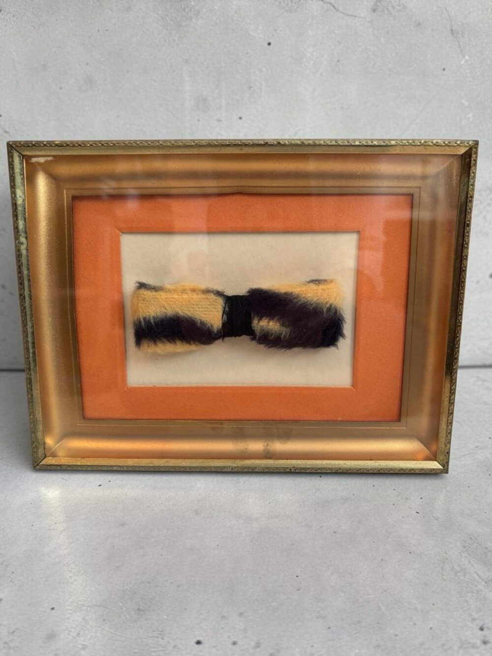Framed Vintage Faux Fur Bow Tie Display With Gold-Tone Frame & Orange Matte